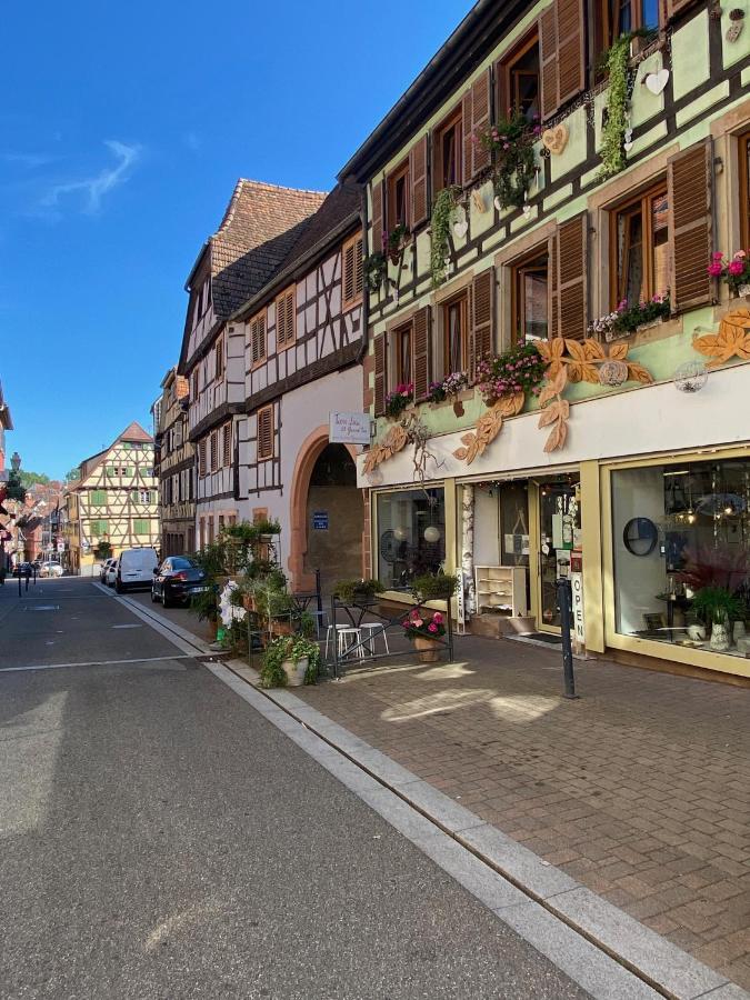 Tiers Lieu 59 Grand Rue Lejlighed Bouxwiller  Eksteriør billede